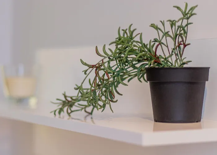 Louvre Loft: Charming In *