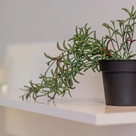 Louvre Loft: Charming In *