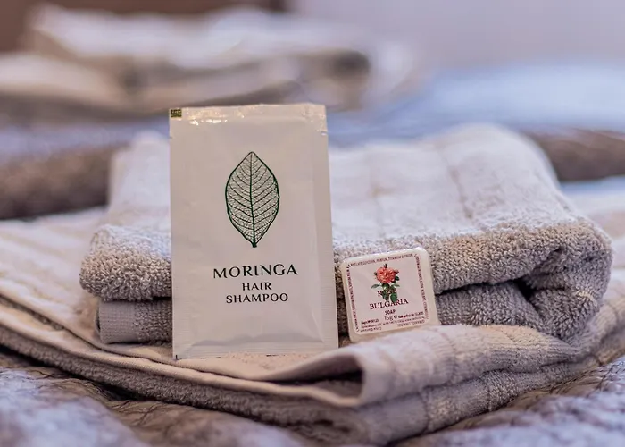 Louvre Loft: Charming In *