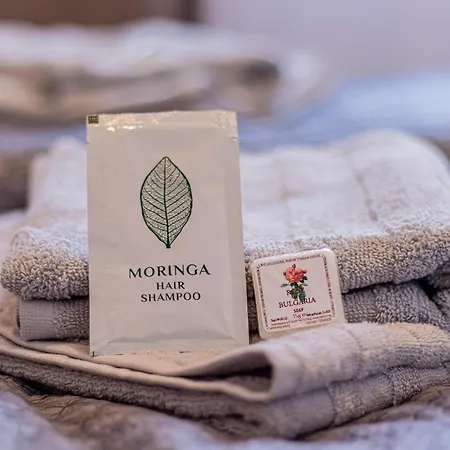 Louvre Loft: Charming In *